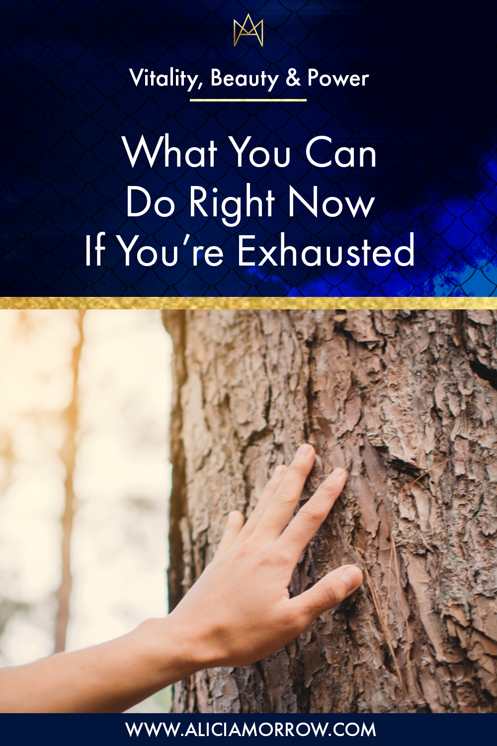 What You Can Do Right Now If You’re Exhausted