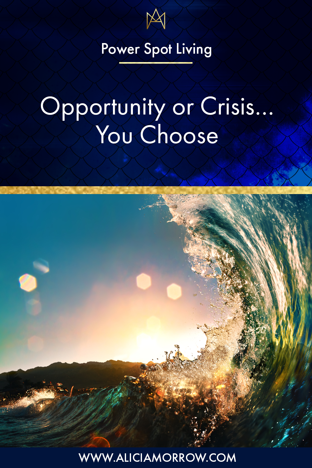 Opportunity or Crisis… You Choose